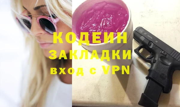 шишки Лагань