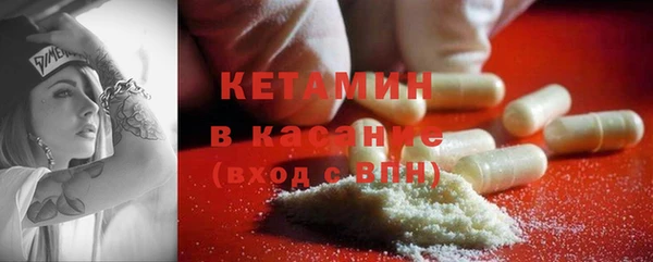 шишки Лагань