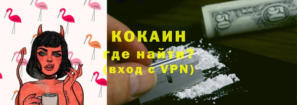 шишки Лагань