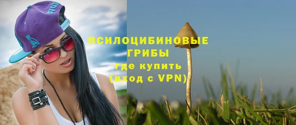 шишки Лагань