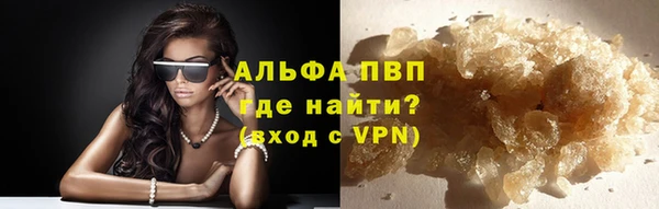 ПСИЛОЦИБИНОВЫЕ ГРИБЫ Ладушкин