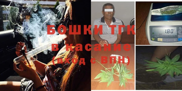 шишки Лагань