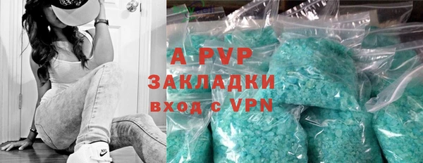 ПСИЛОЦИБИНОВЫЕ ГРИБЫ Ладушкин