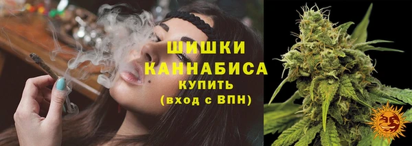 шишки Лагань