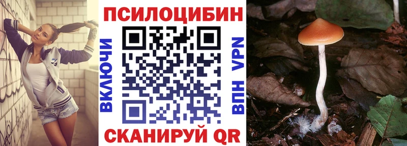 даркнет состав  Фокино  Псилоцибиновые грибы Magic Shrooms 