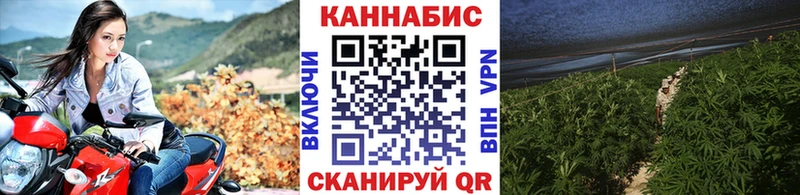 Каннабис Bruce Banner  ссылка на мегу рабочий сайт  Фокино 